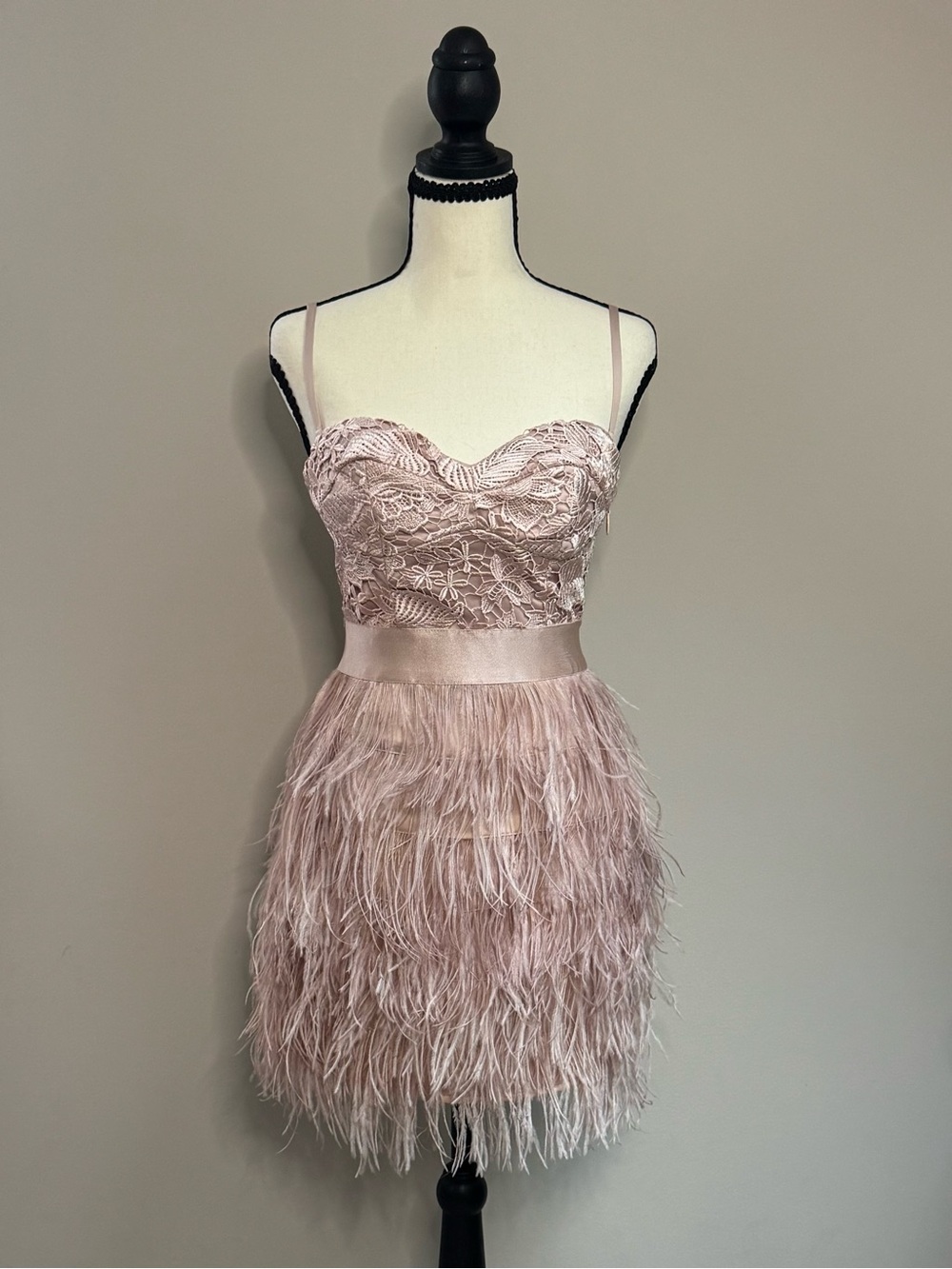 Bebe Isis Lace Feather Mini Dress Blush Pink XS
